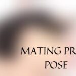 Mating Press Pose